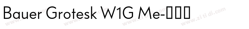 Bauer Grotesk W1G Me字体转换